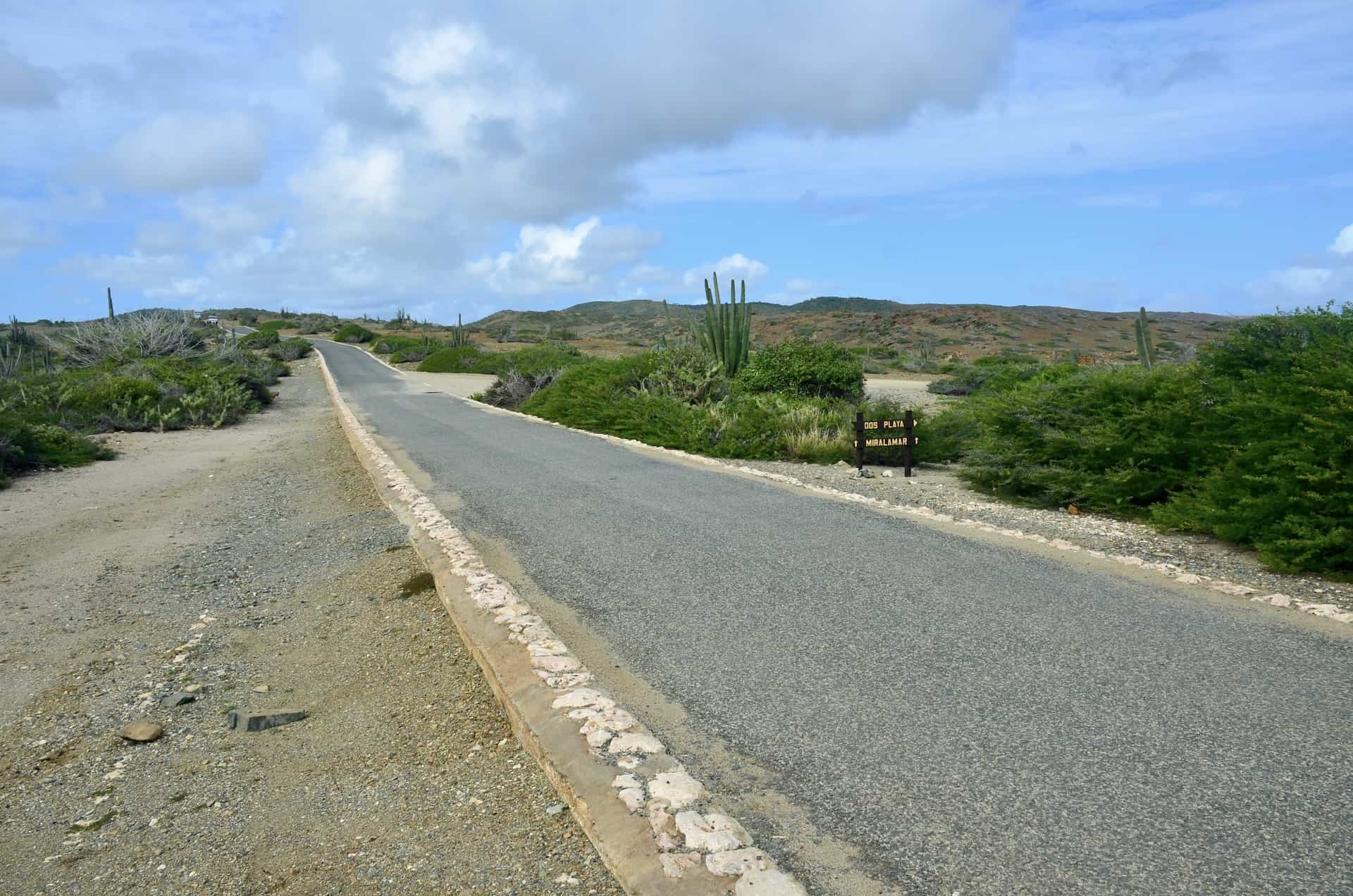 Road through Arikok National Park in Aruba