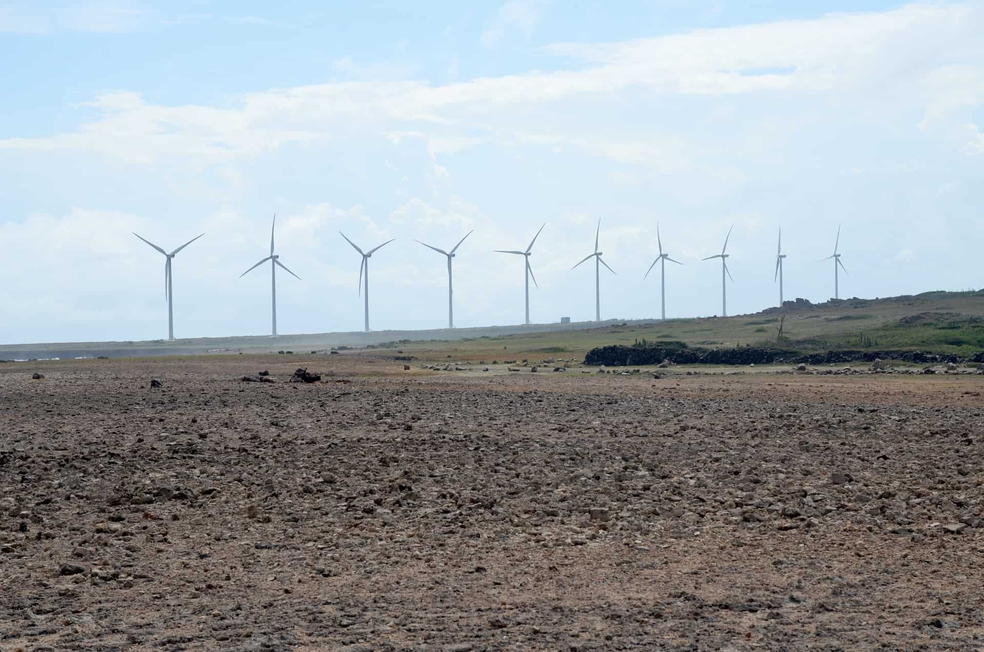 Wind farm at Vader Piet from Boca Prins