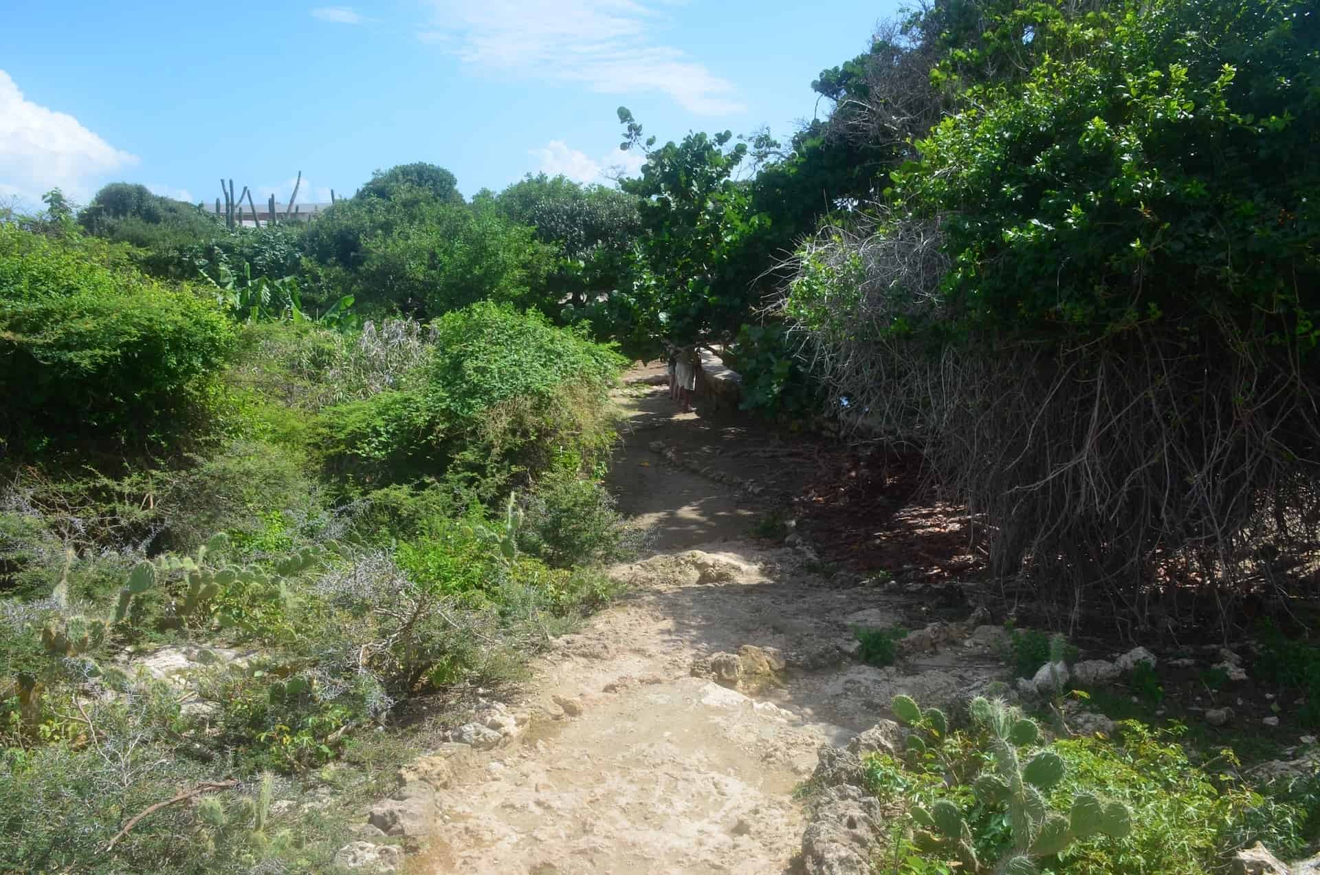 Path to the pond at Fontein Cave