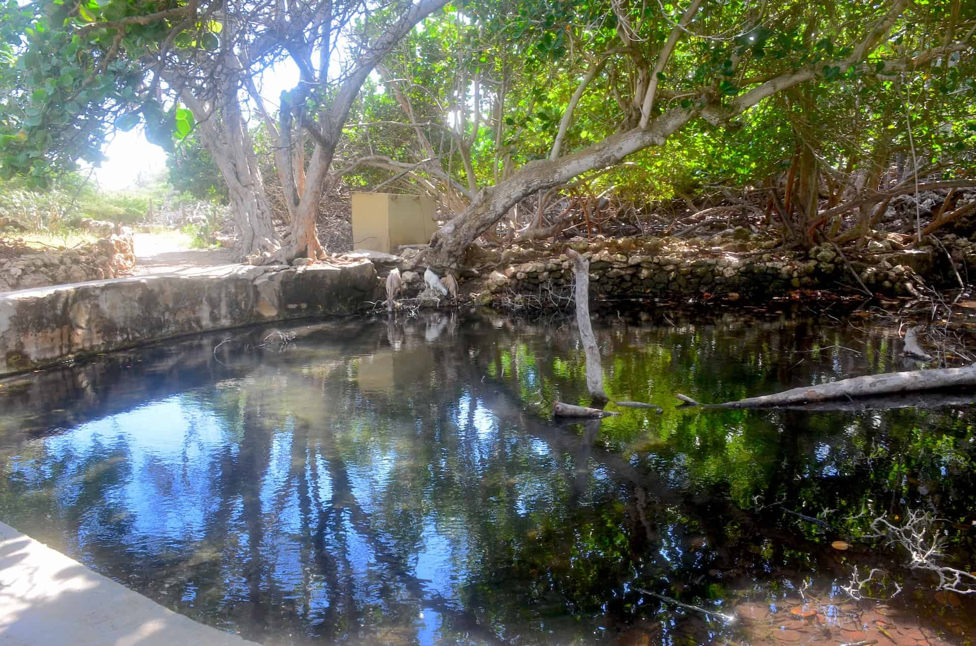 Pond at Fontein Cave