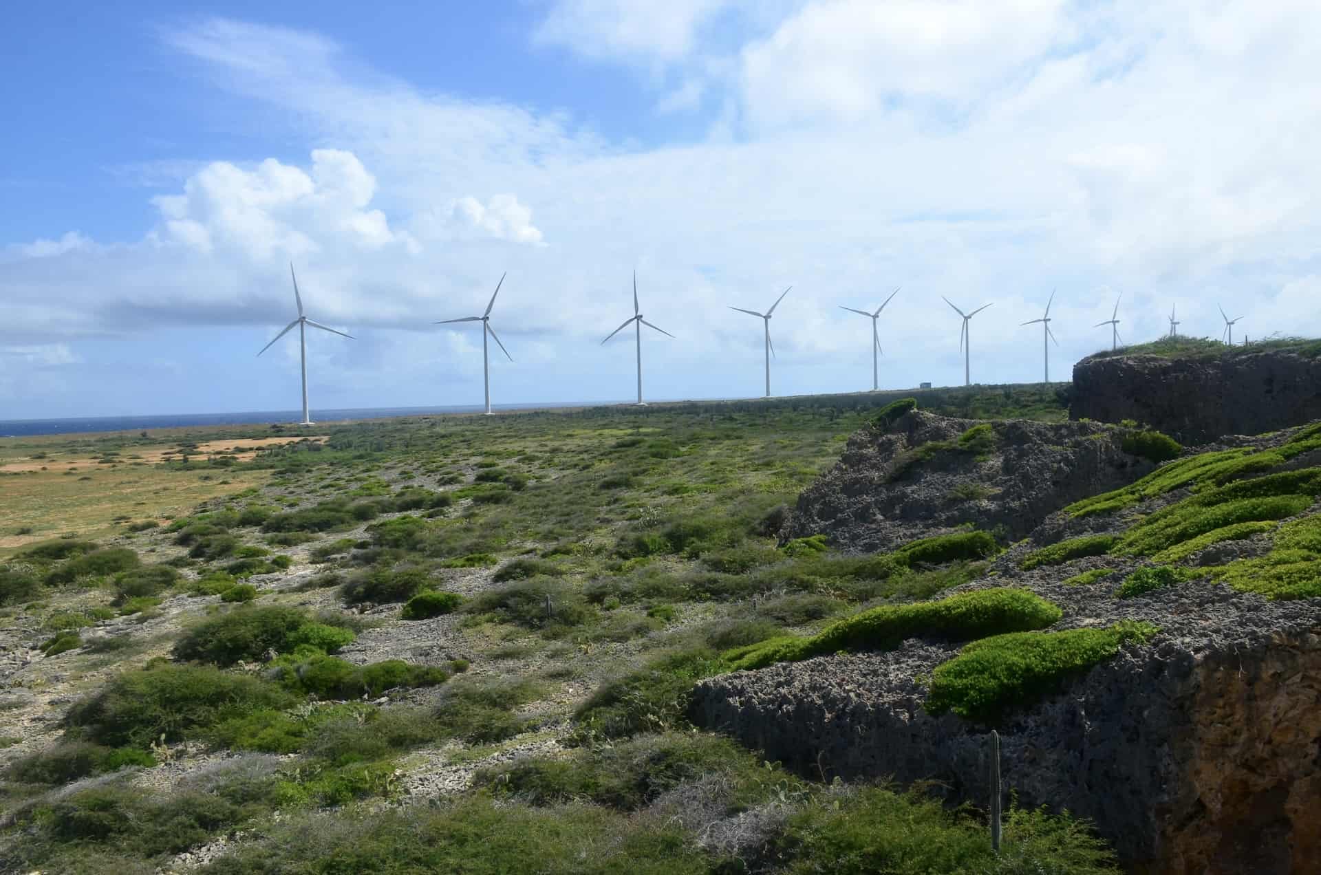 Wind farm at Vader Piet from the lookout tower at Quadirikiri Cave