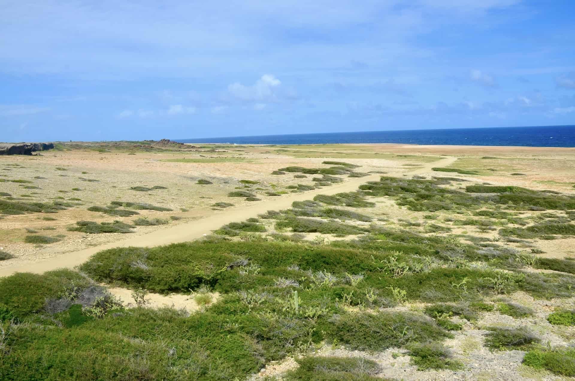 Looking north from the lookout tower at Quadirikiri Cave at Arikok National Park in Aruba