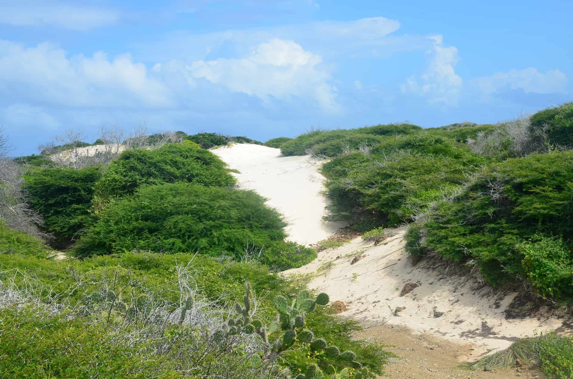 View of the Boca Prins Dunes from the Dos Playa parking lot