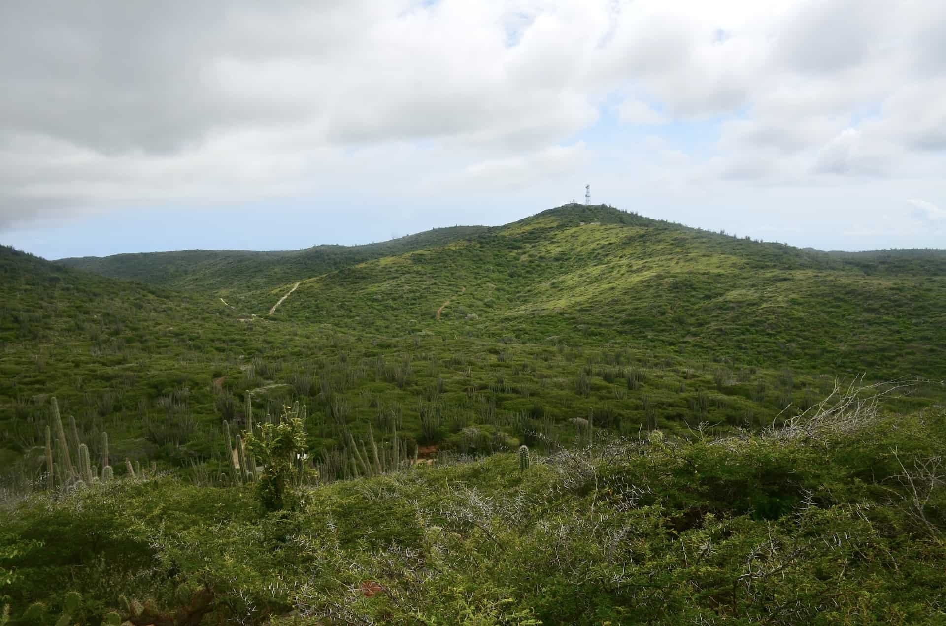 Arikok National Park from Miralamar