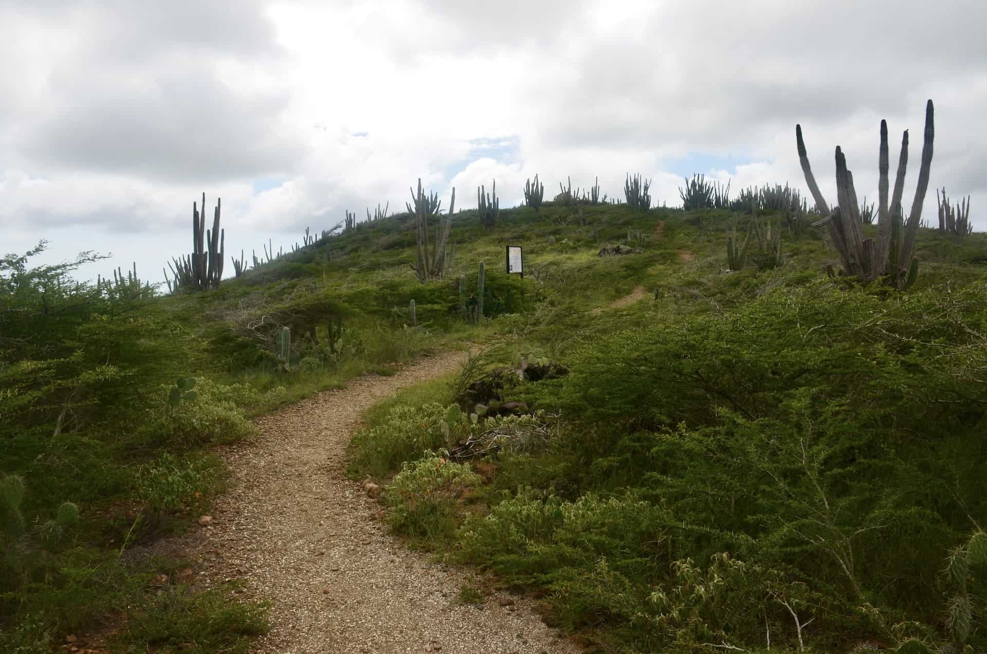 Last stretch up the hill to the Miralamar Mining Complex at Arikok National Park in Aruba