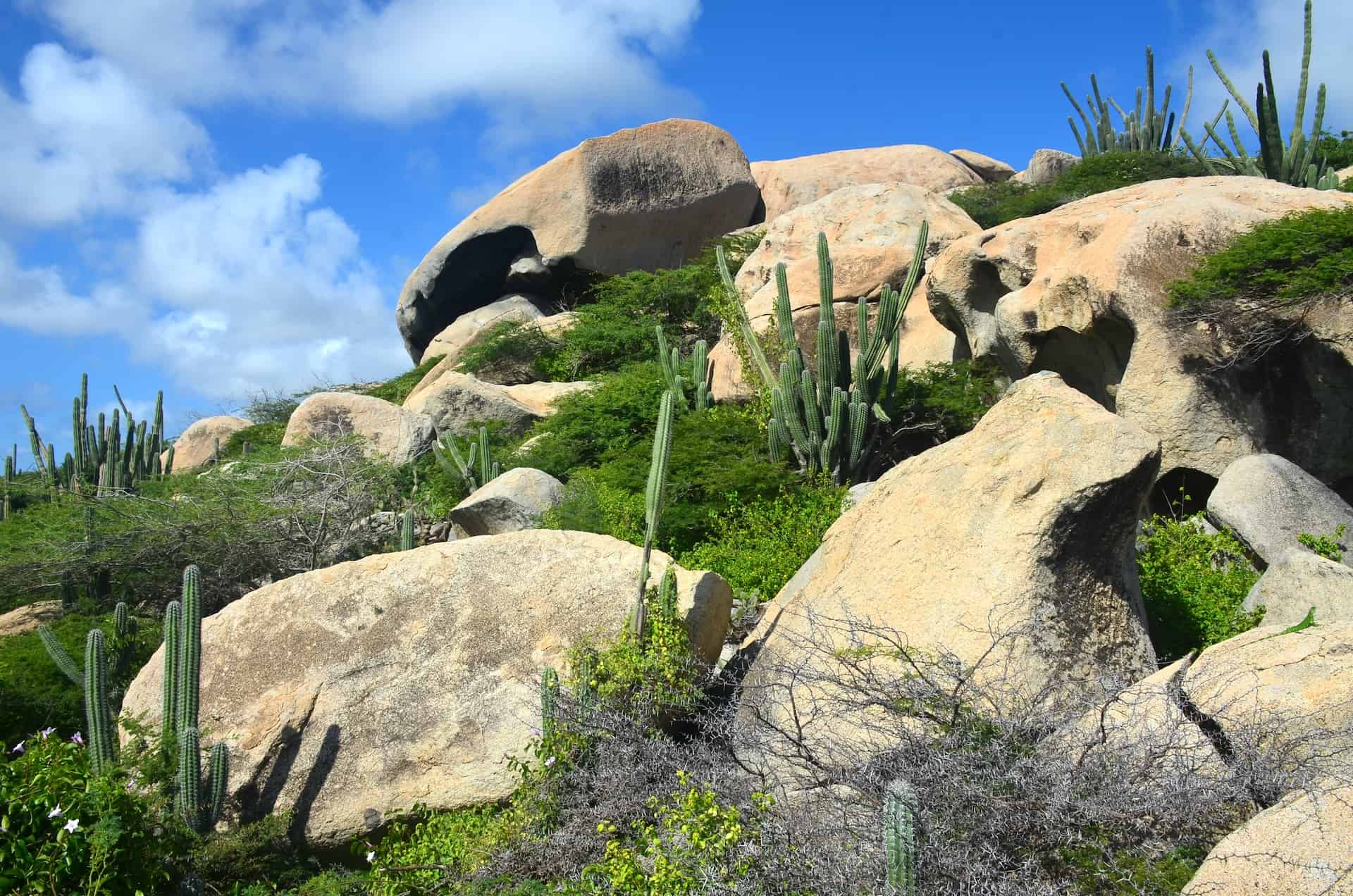 Ayo Rock Formations in Paradera, Aruba