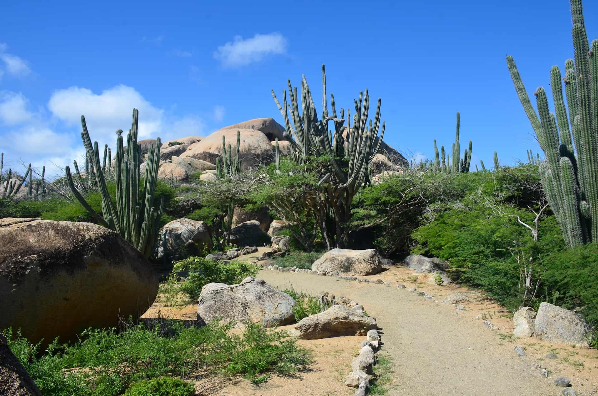 Path through the Ayo Rock Formations in Paradera, Aruba