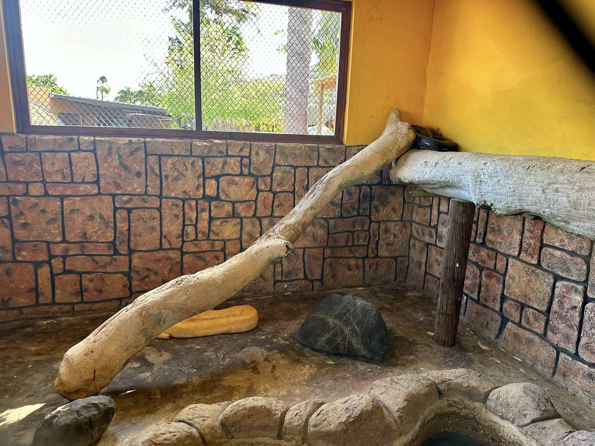 Burmese python at Philip's Animal Garden