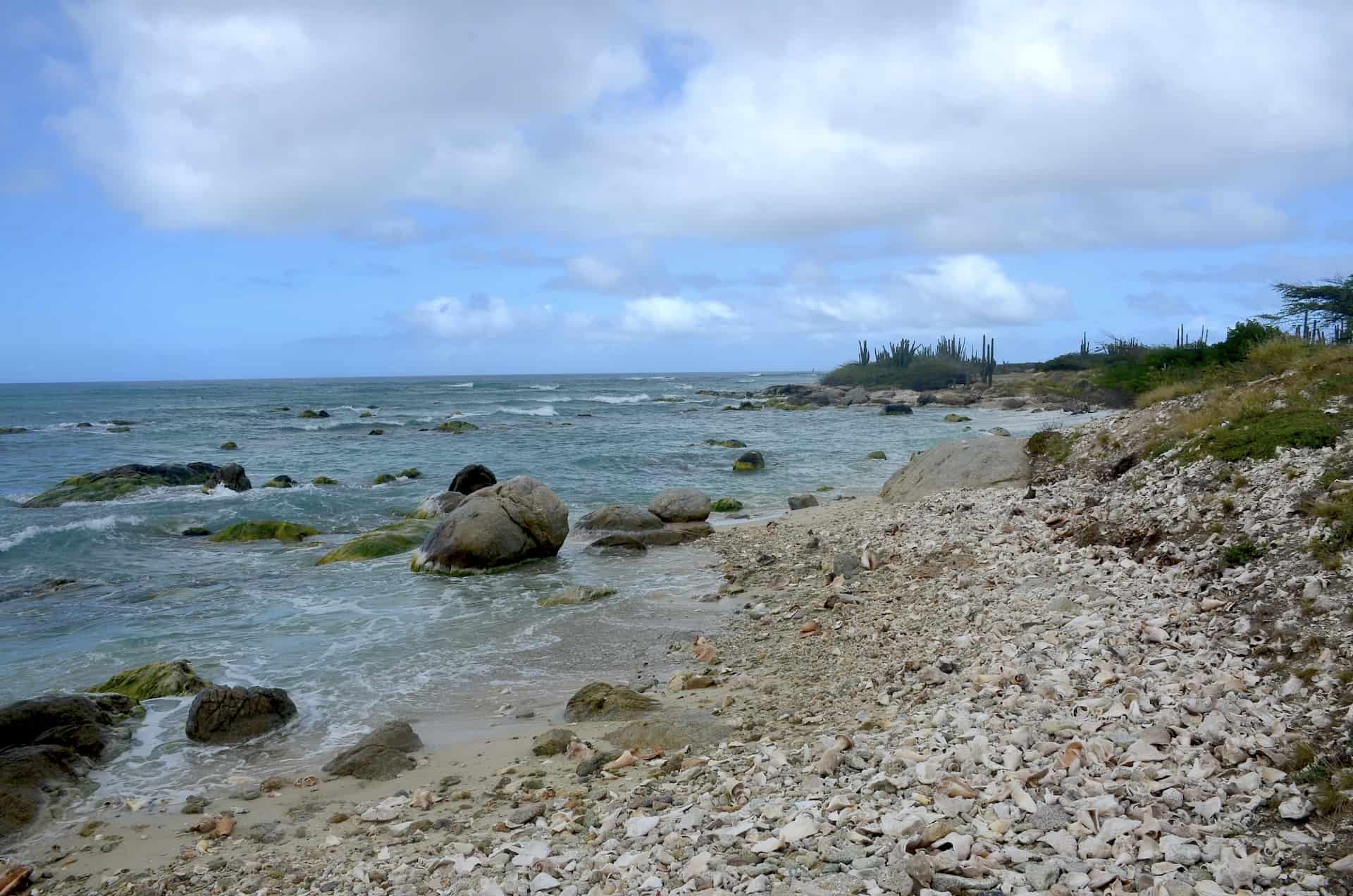 Conch Shell Beach at Noord, Aruba