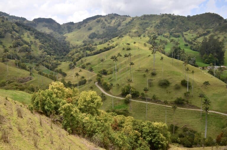 Samaria Valley in San Félix, Salamina, Caldas, Colombia