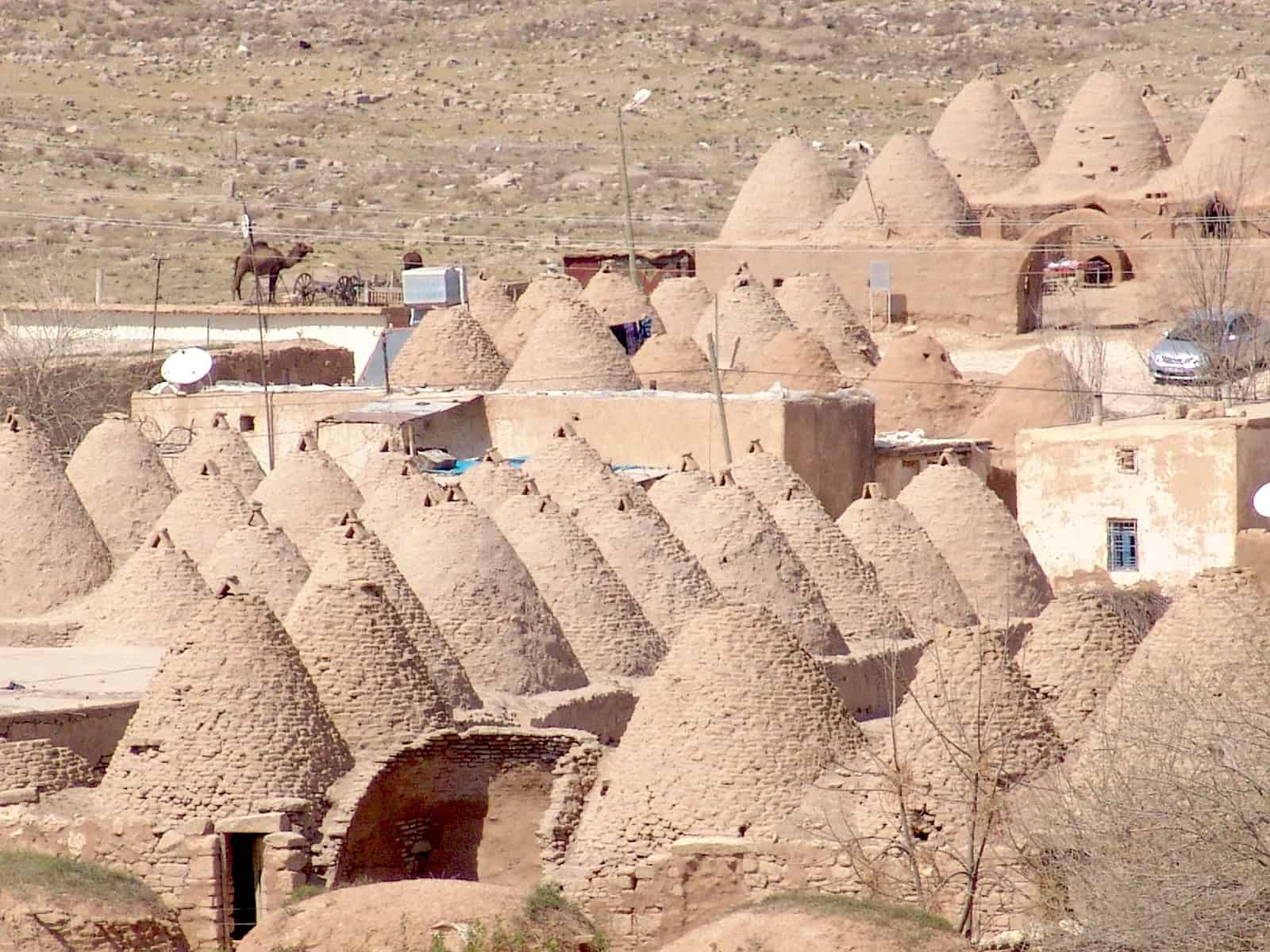 Beehive houses