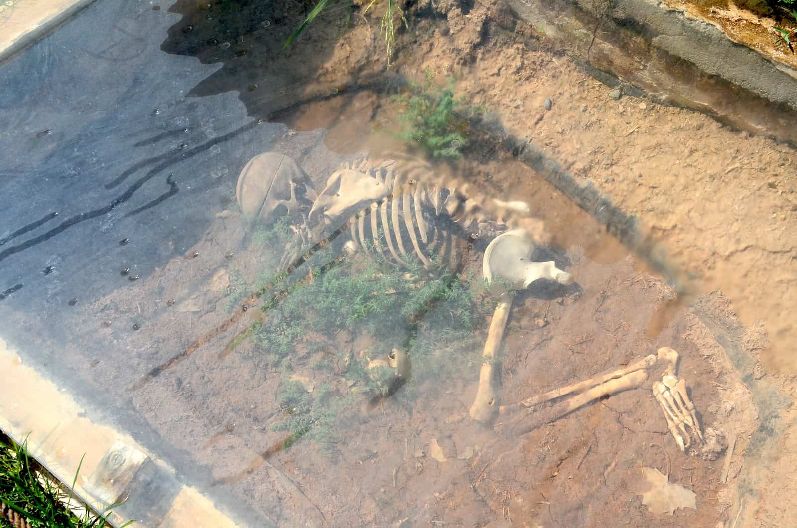 Pithos grave from Çemi Alo in the garden of the Batman Museum in Batman, Turkey