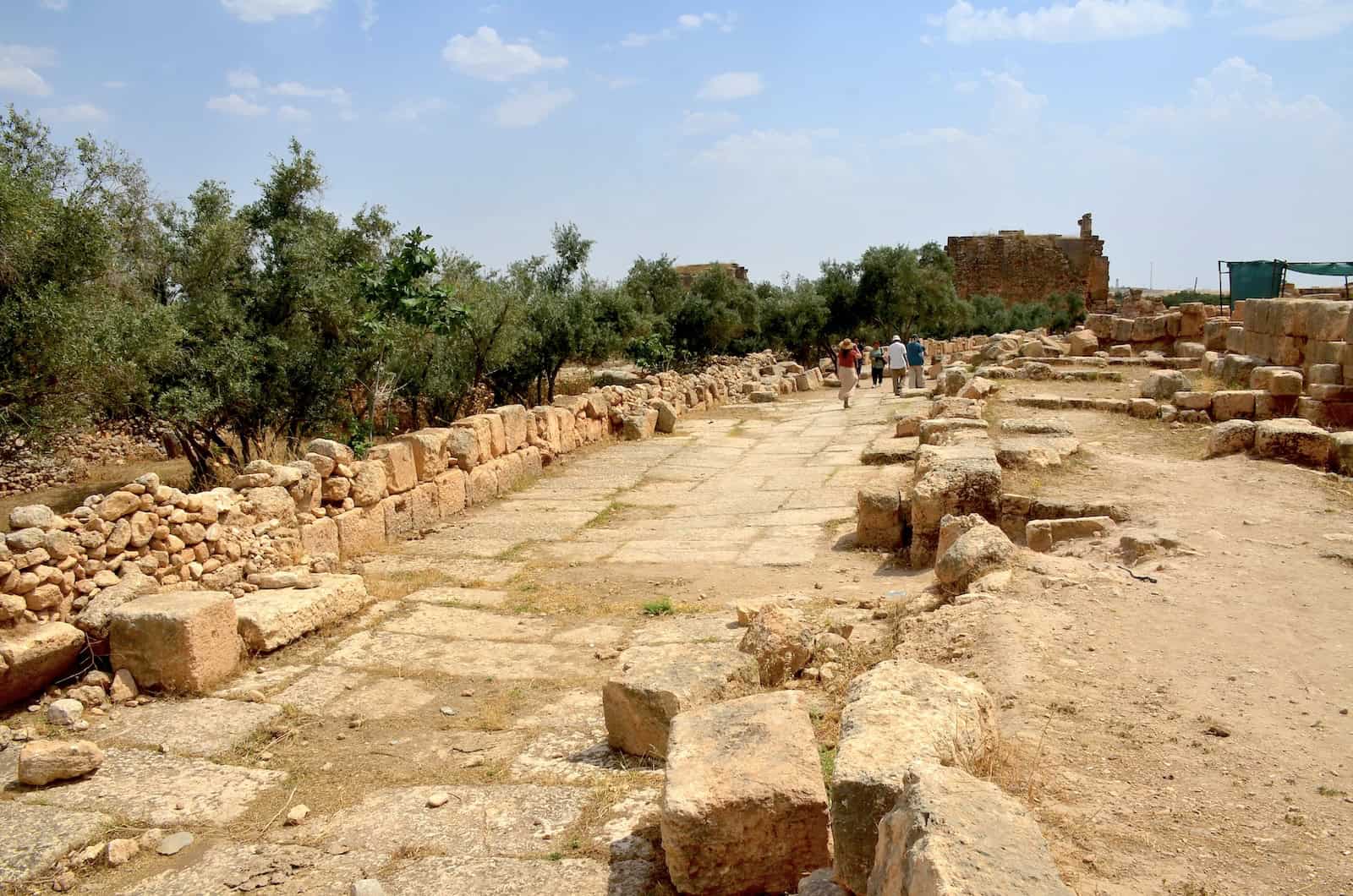 Agora Street in Dara, Turkey