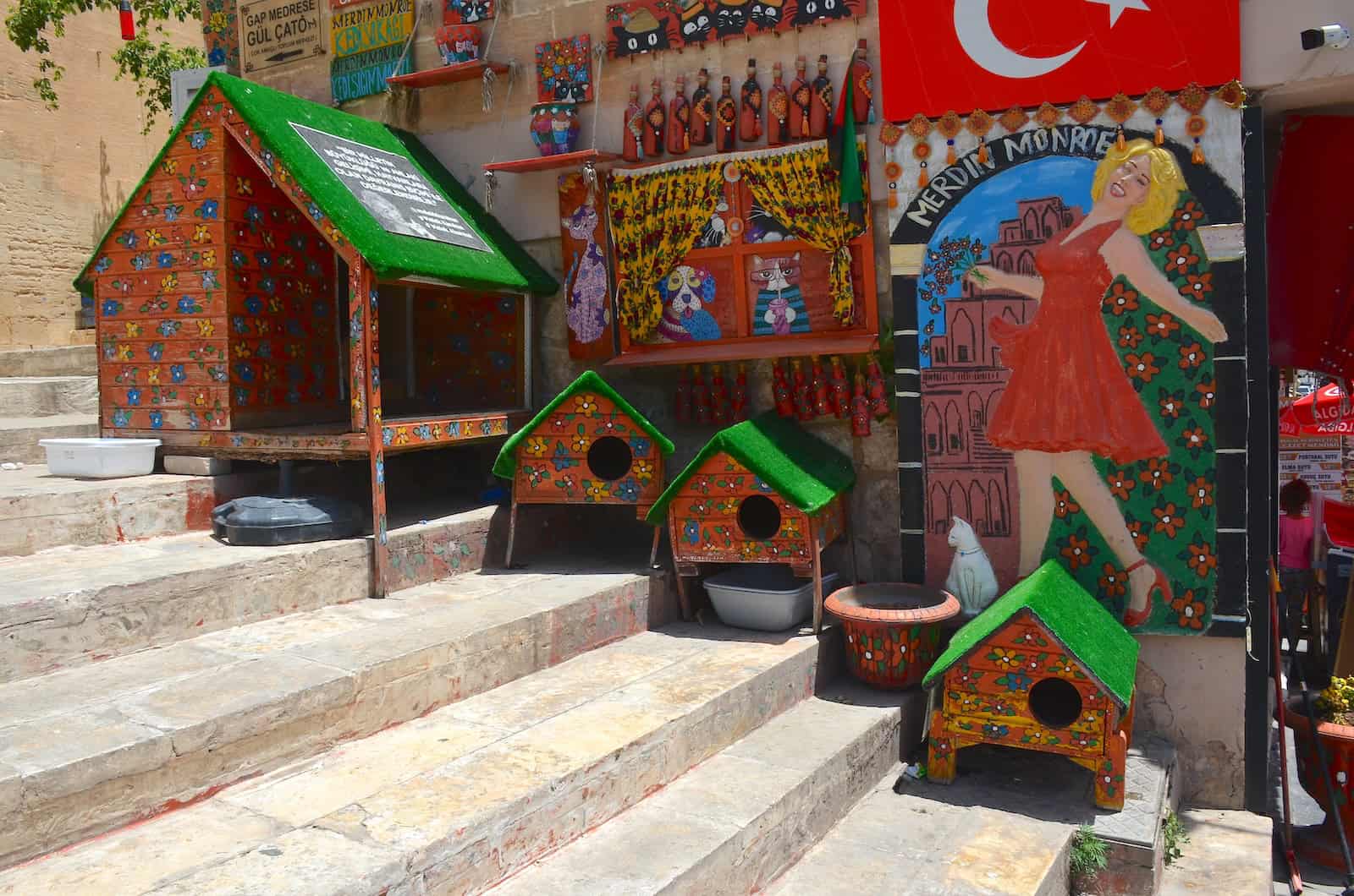 Cat houses in Mardin, Turkey