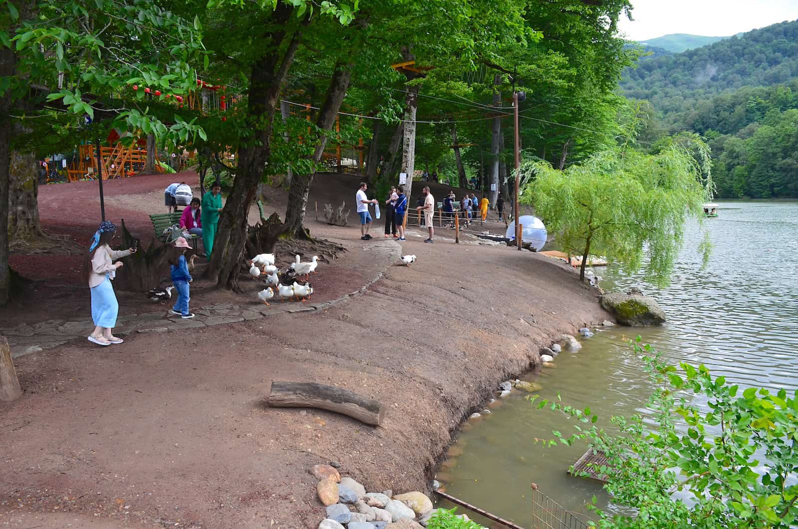 Shore of Lake Parz