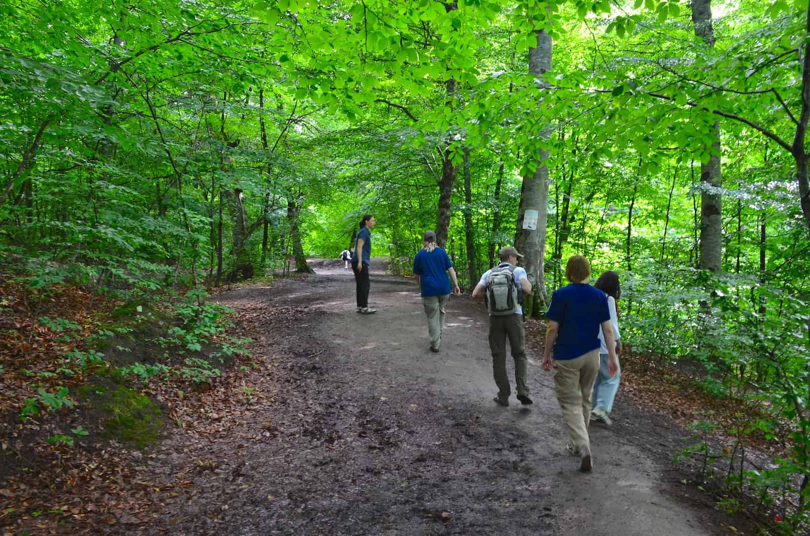 Trail at Lake Parz