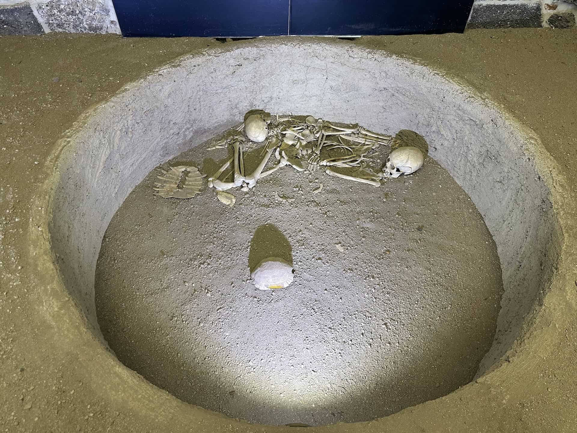 Burial with turtles, end of 7th century BC to end of 4th century BC, Kavuşan Tumulus in Courthouse A at the Diyarbakır Archaeological Museum in Turkey